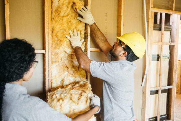 Best Insulation Replacement Services  in USA